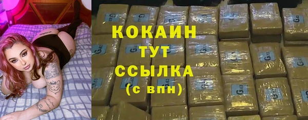 прущие грибы Михайловск