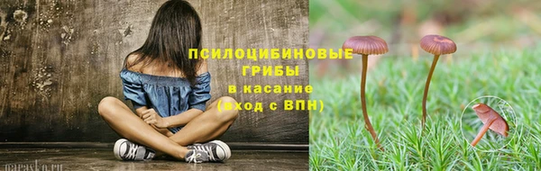 гидра Наволоки