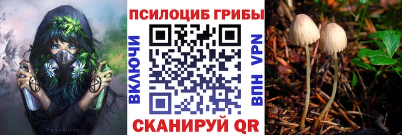 Галлюциногенные грибы Psilocybine cubensis  где купить наркоту  Кяхта 